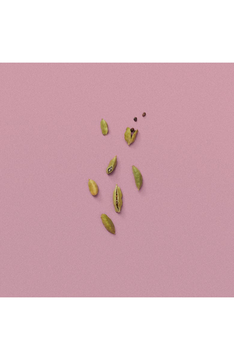 Gucci The Alchemist's Garden A Winter Melody Acqua Profumata, Alternate, color,