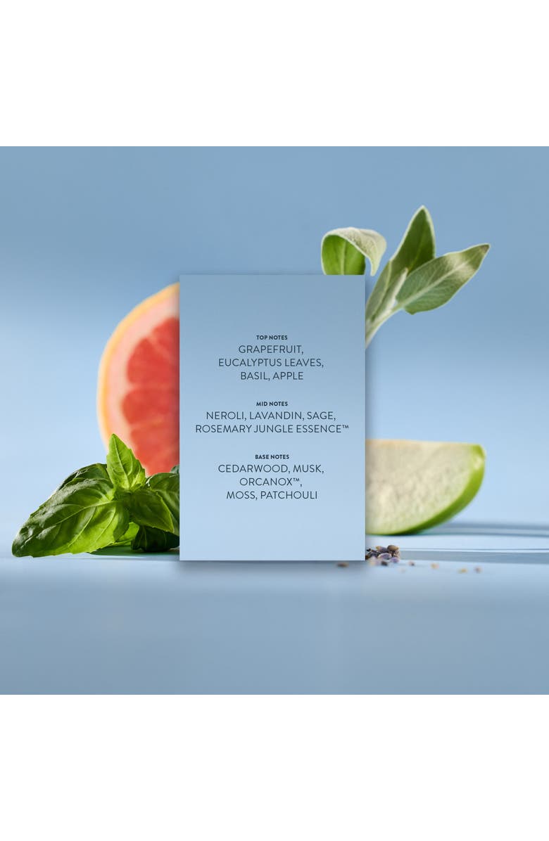 Michael Malul Sea + Zephyr Eau de Parfum, Alternate, color,