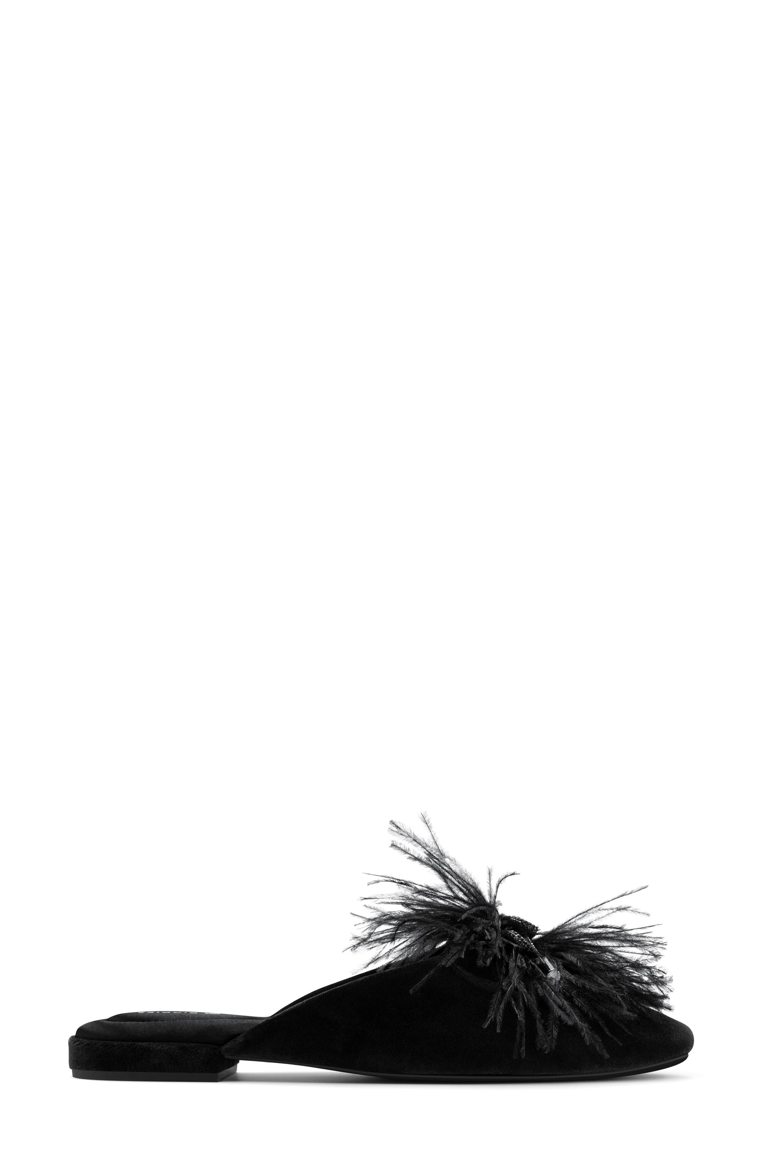 The Lovebird Feather Trim Mule, Alternate, color, BLACK VELVET