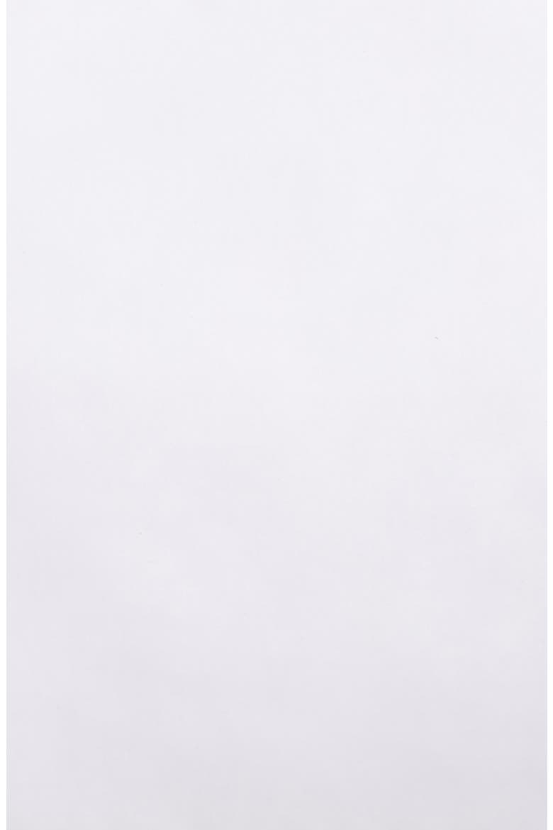 Black Series 300 Thread Count Medium Support PrimaLoft® Pillow, Alternate, color, WHITE