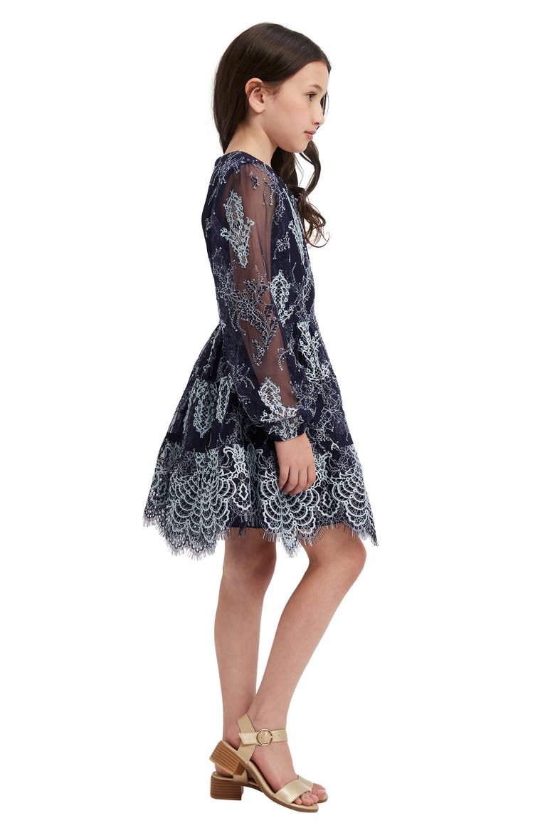 Kids' Sienna Embroidered Long Sleeve Dress, Alternate, color, BLUE/NAVY