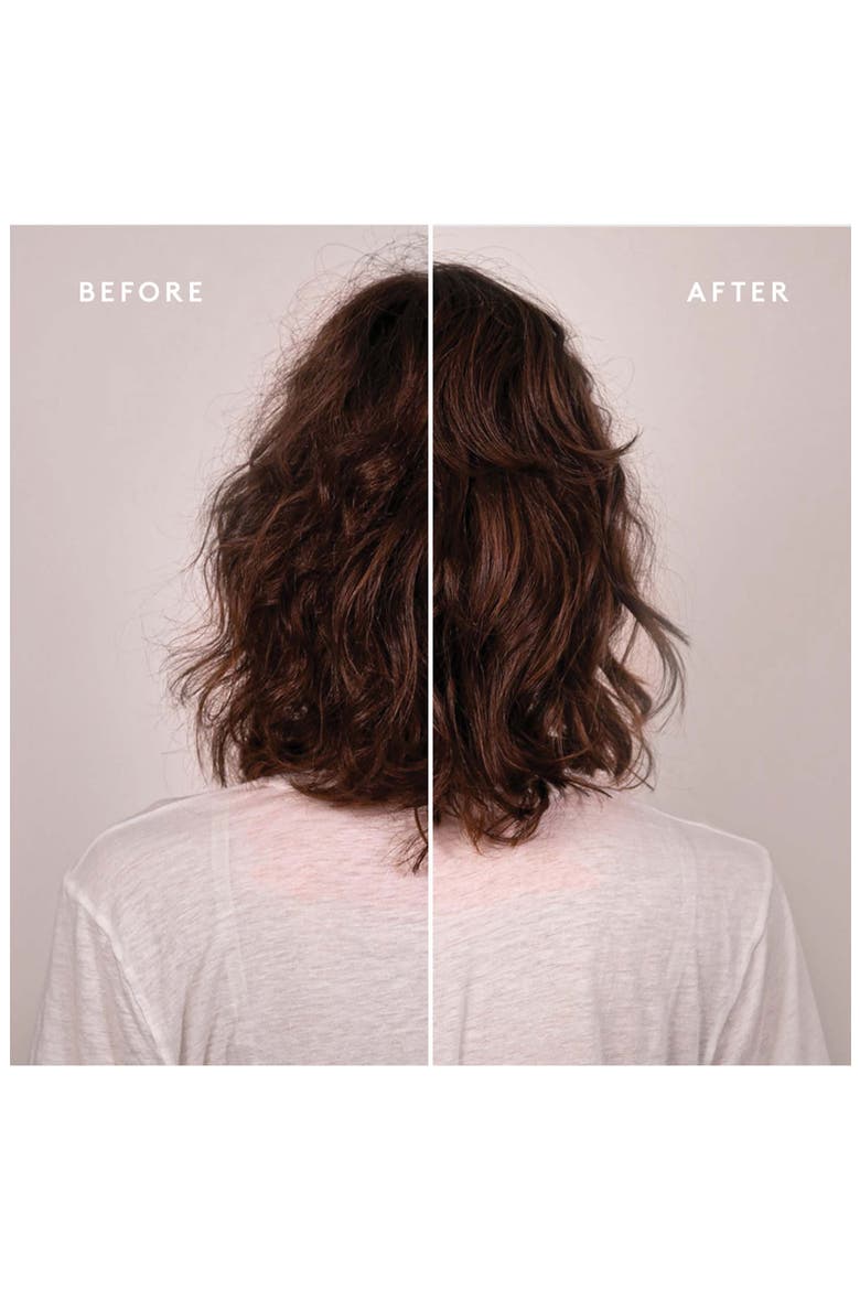 Purifying Shampoo, Alternate, color, NO COLOR