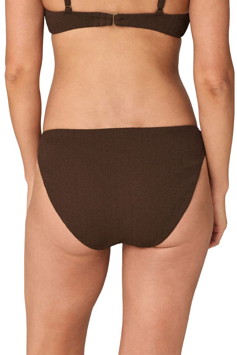 The Bonita Bikini Bottoms, Alternate, color, WALNUT