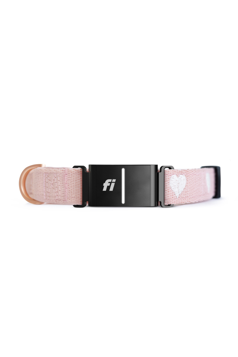 Sweetheart 3+ Collar Band, Main, color, Sweetheart