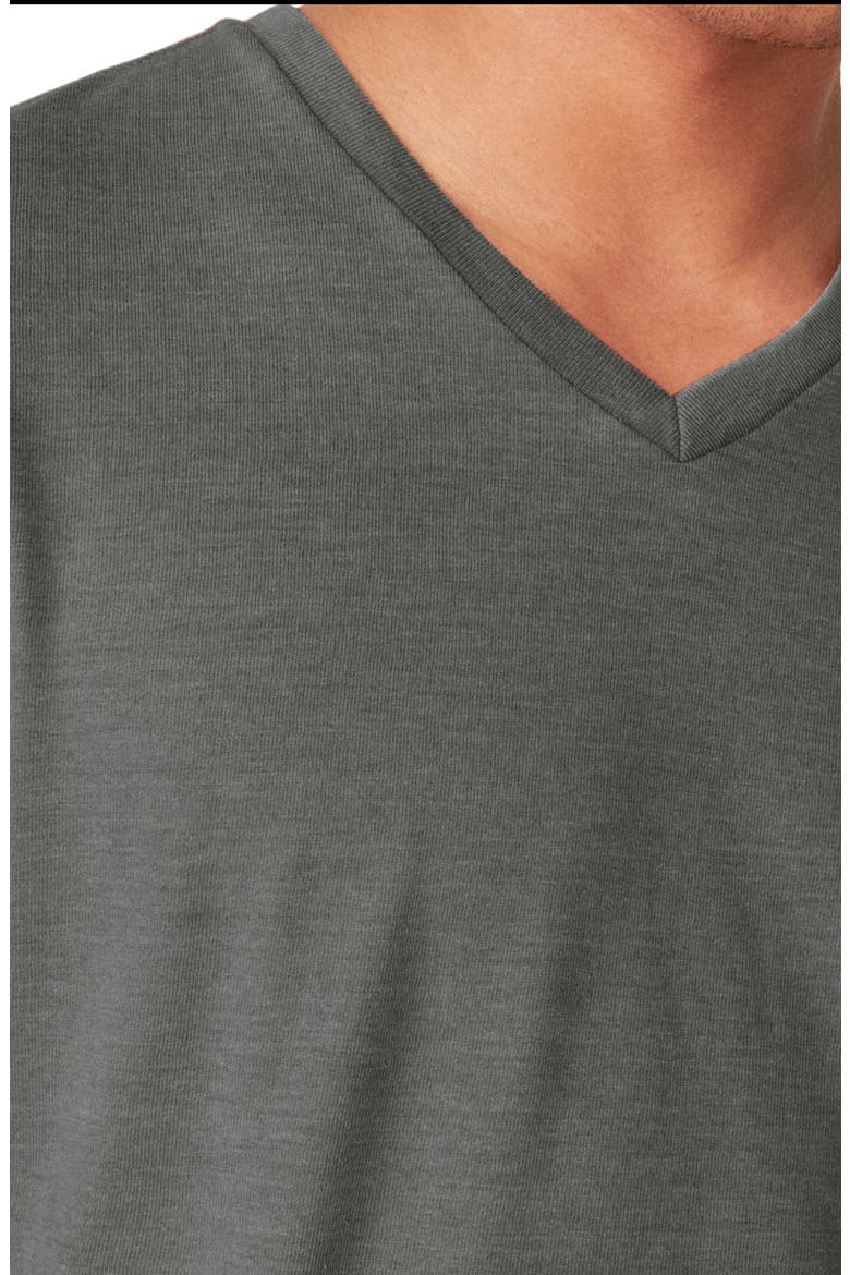 Venice V-Neck Burnout T-Shirt, Alternate, color, JET BLACK