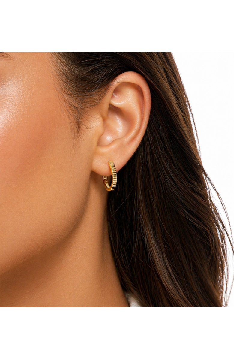 ZARUX Golden Halo Hoops 2mm, Alternate, color, Yellow Gold