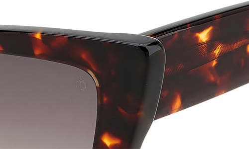 Rag & Bone 53mm Cat Eye Sunglasses In Havana/brown Gradient