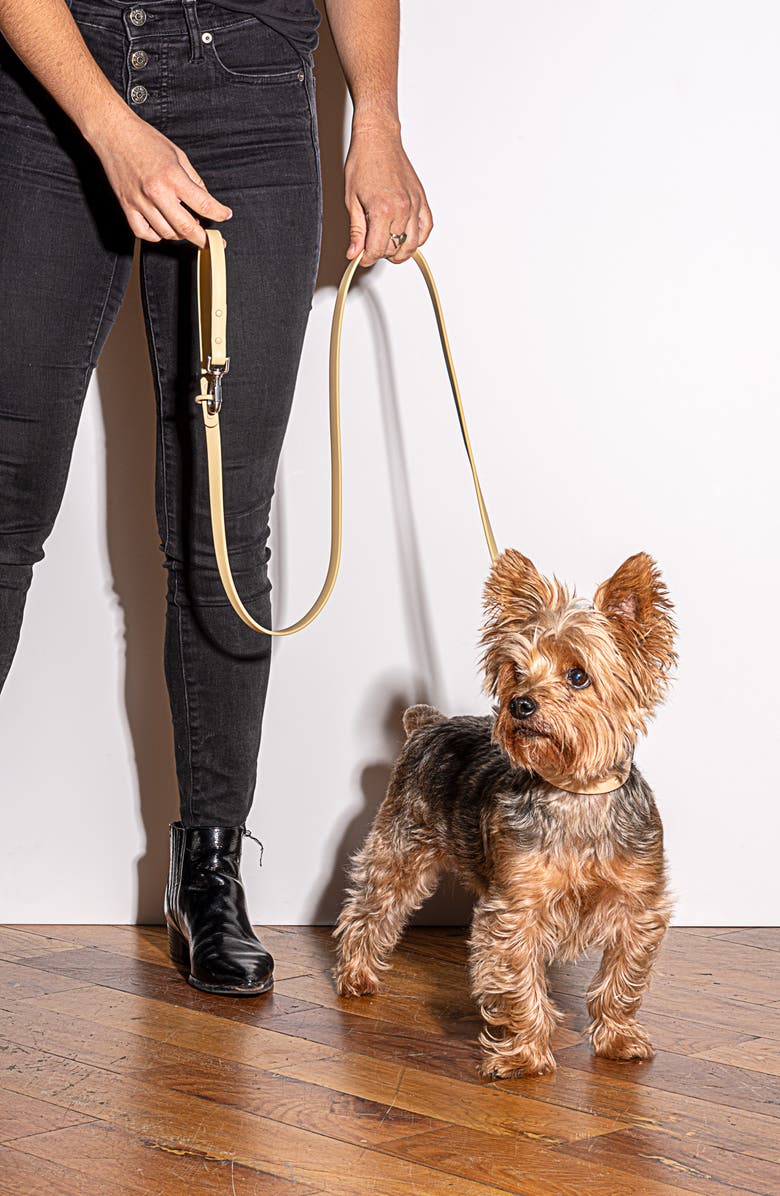 Wild One Small All-Weather Leash, Alternate, color,