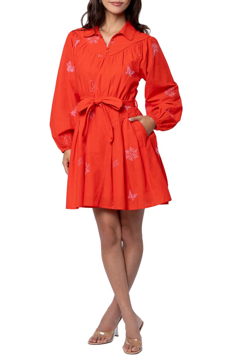 Zephyr Long Sleeve Minidress, Main, color, RED/ PINK