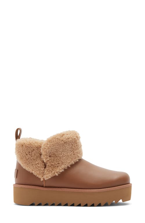 Ugg ® Ultra Mini Alina Curled Genuine Shearling Platform Boot In Brown