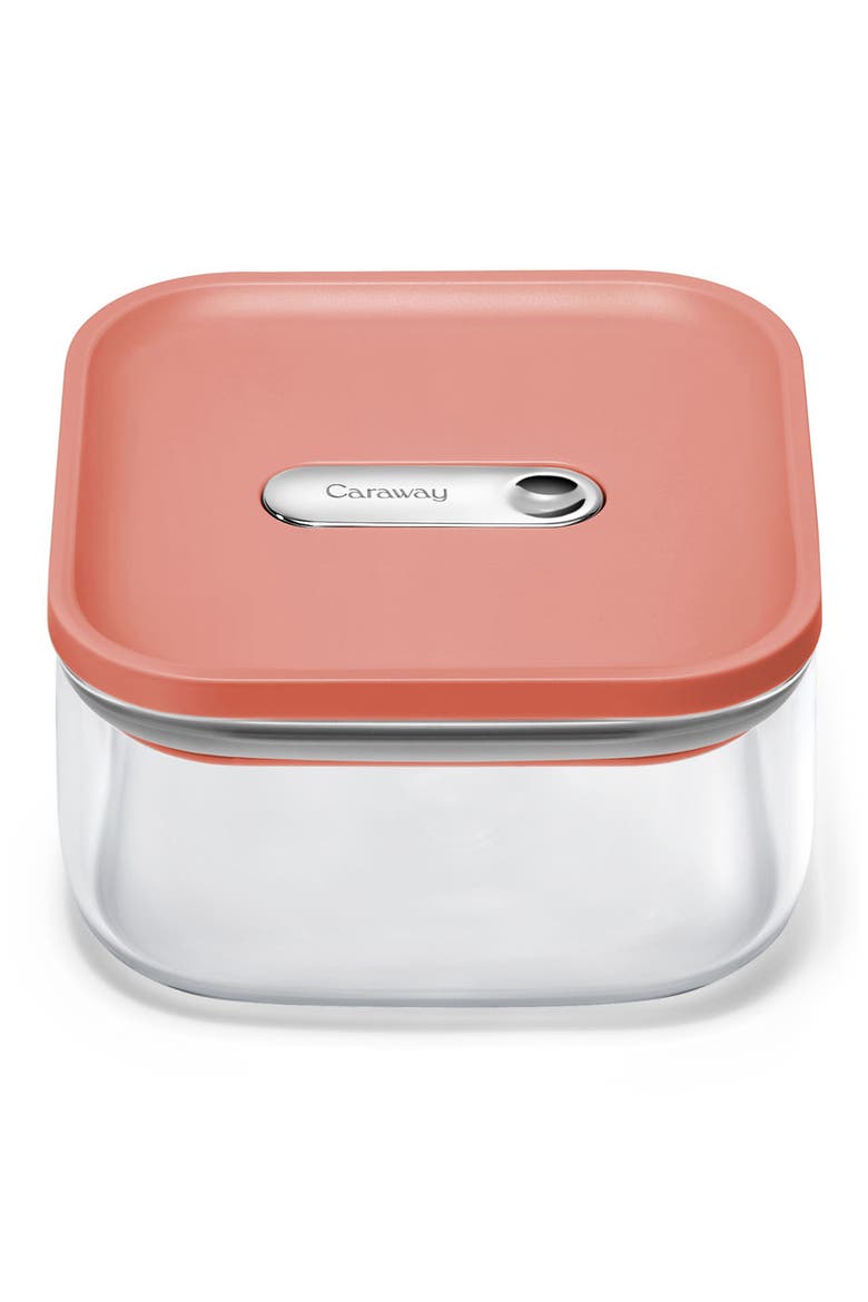 Small 0.9-Quart Airtight Storage Container, Main, color, TERRACOTTA