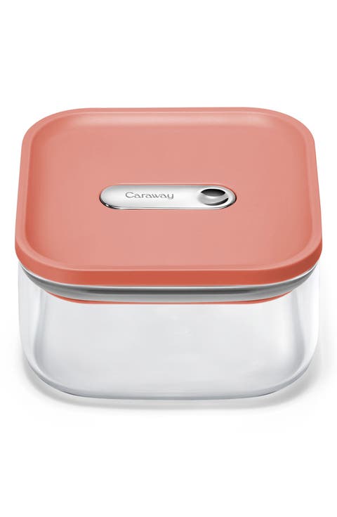 Small 0.9-Quart Airtight Storage Container