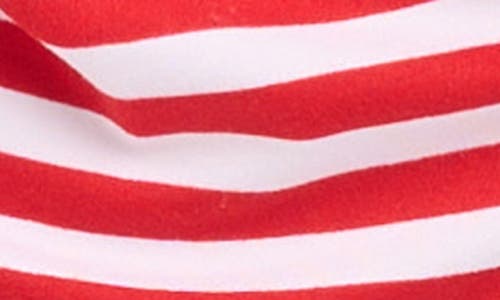 Pillow Talk Matching Family Stripe Print Pet Bandana