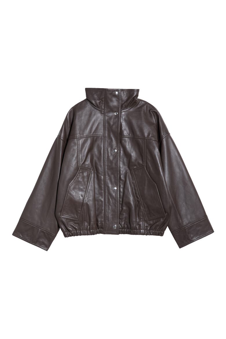 Reinvented Leather Jacket, Alternate, color, EARTH