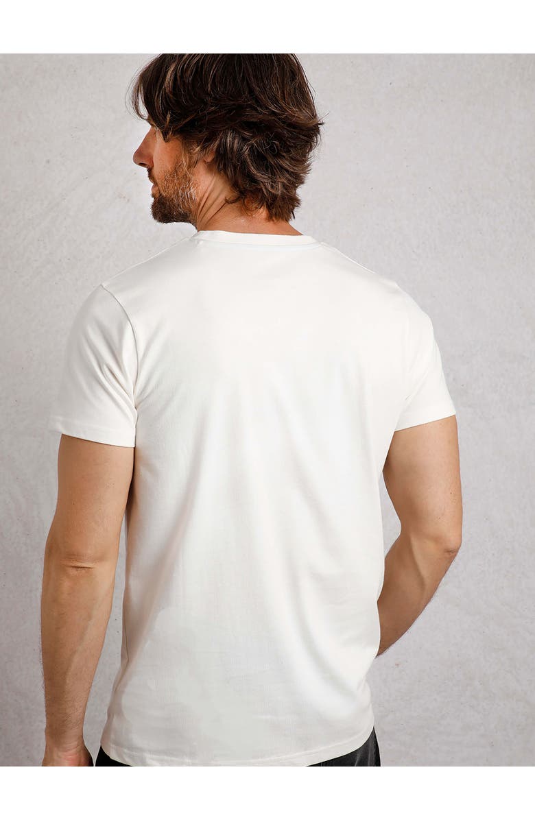 Weird Fish Tidal Branded Pocket T-Shirt, Alternate, color, Dusty White