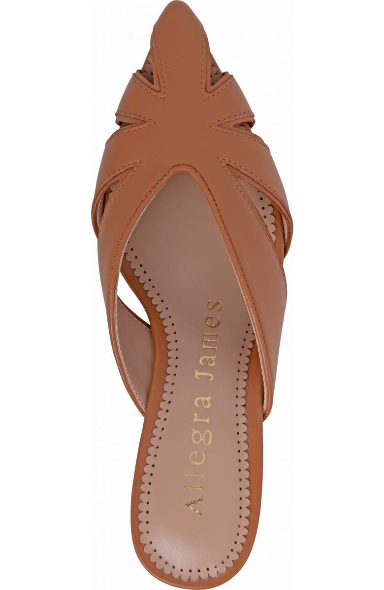 Allegra James Angela Leather Mule, Alternate, color,