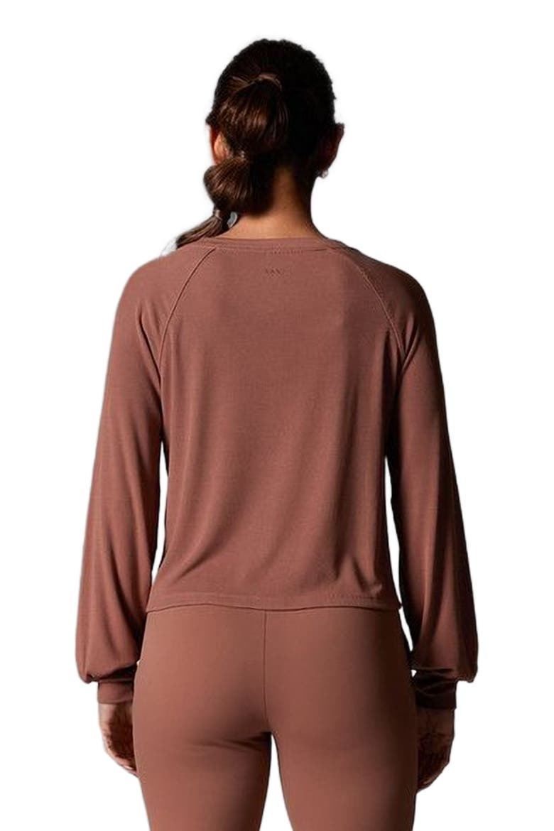 Rib Long Sleeve, Alternate, color, CLOVE