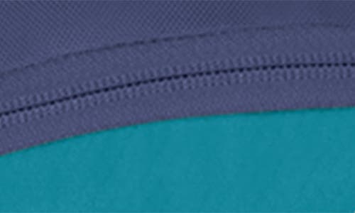 Osprey Daylite Waist Pack In Blue Spikemoss/alkaline