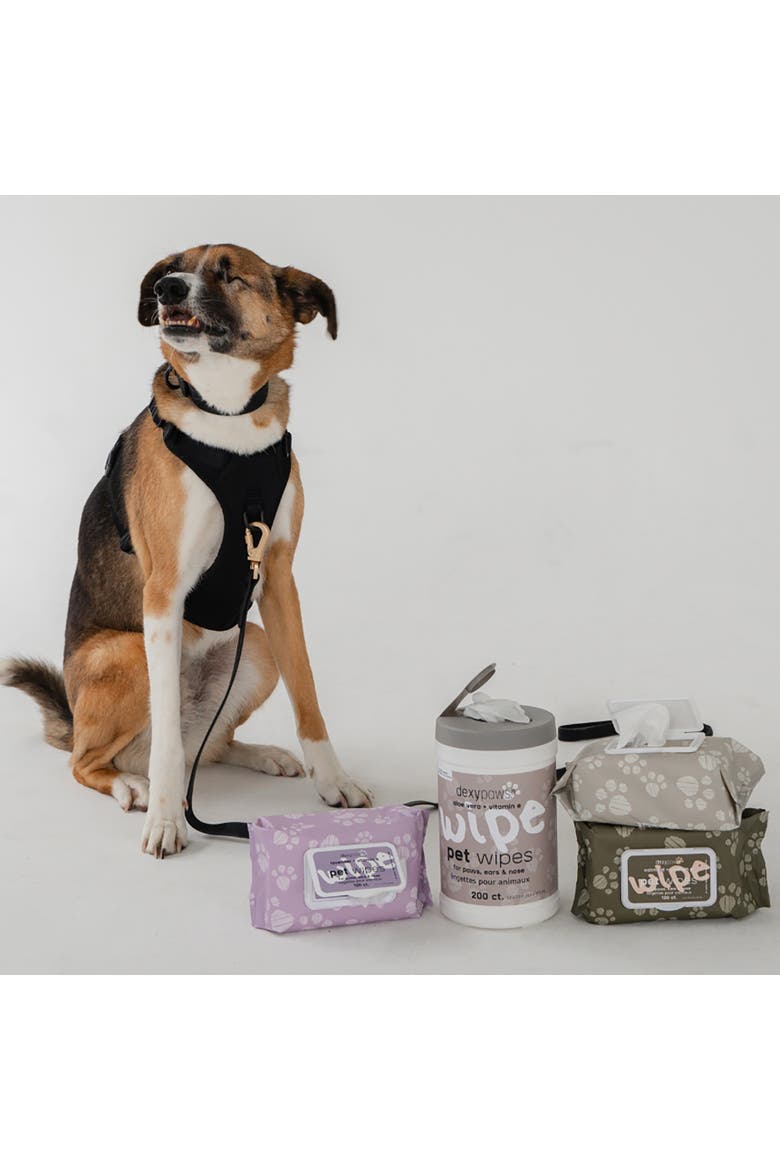 Pet Cleansing Wipes Canister, Aloe Vera & Vitamin E, 200ct, Alternate, color, Multicolored