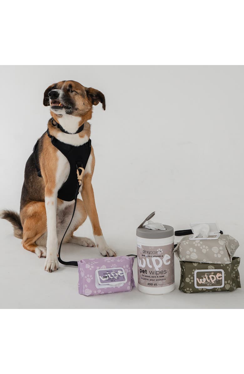 Dexypaws Pet Cleansing Wipes Canister, Aloe Vera & Vitamin E, 200ct, Alternate, color, Multicolored