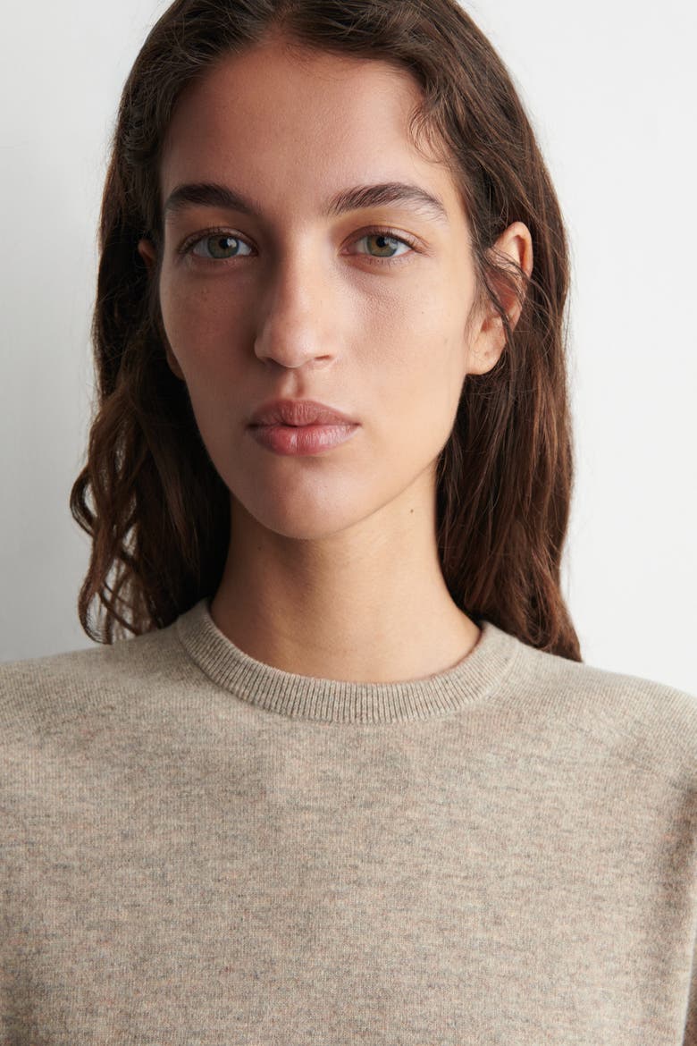 Merino Wool Crew-neck Sweater, Alternate, color, BEIGE MÉLANGE