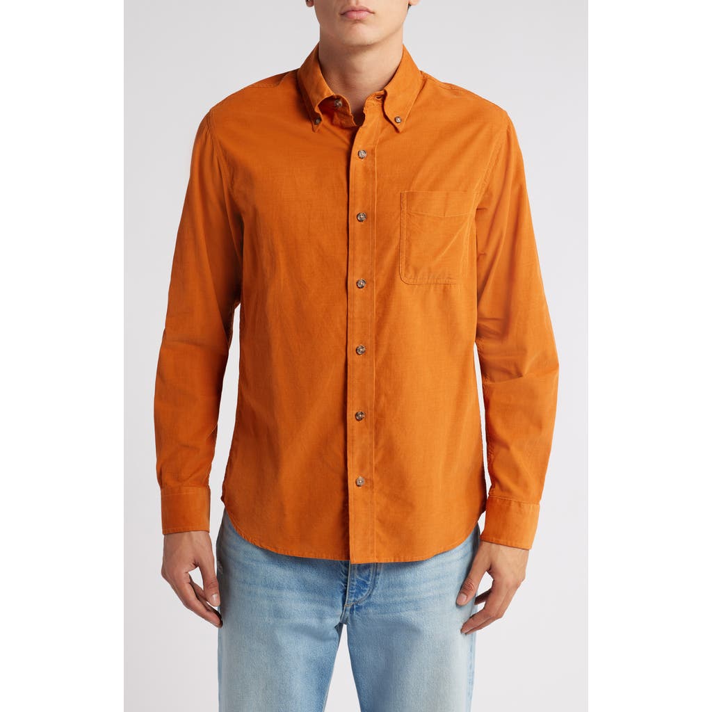 Schott NYC Pinwale Corduroy Button Down Shirt in Rust