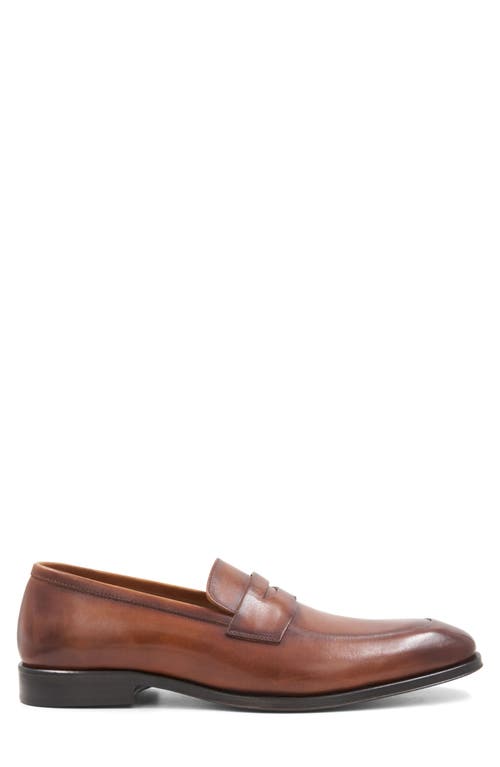 Bruno Magli Maioco Penny Loafer In Cognac Calf