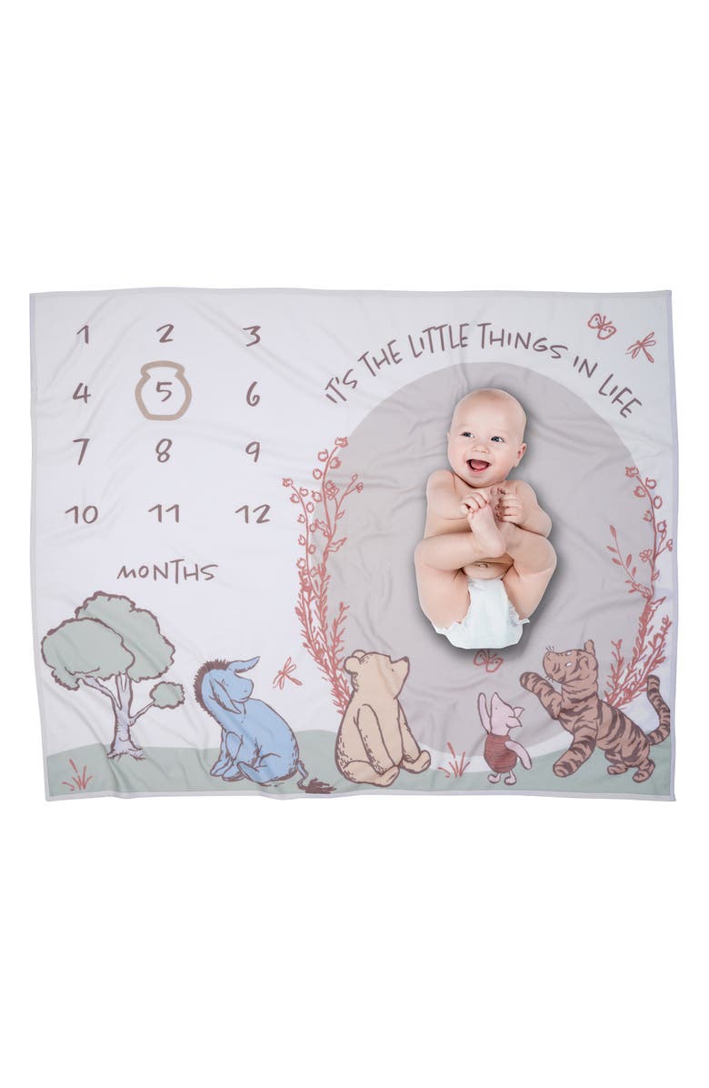 Lambs & Ivy Disney Pooh Bear and Pals Photo Opp Milestone Fleece Baby Blanket, Main, color, White