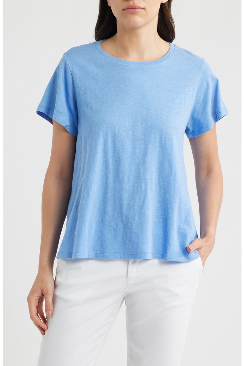Crewneck Organic Cotton T-Shirt, Main, color, CORNFLOWER