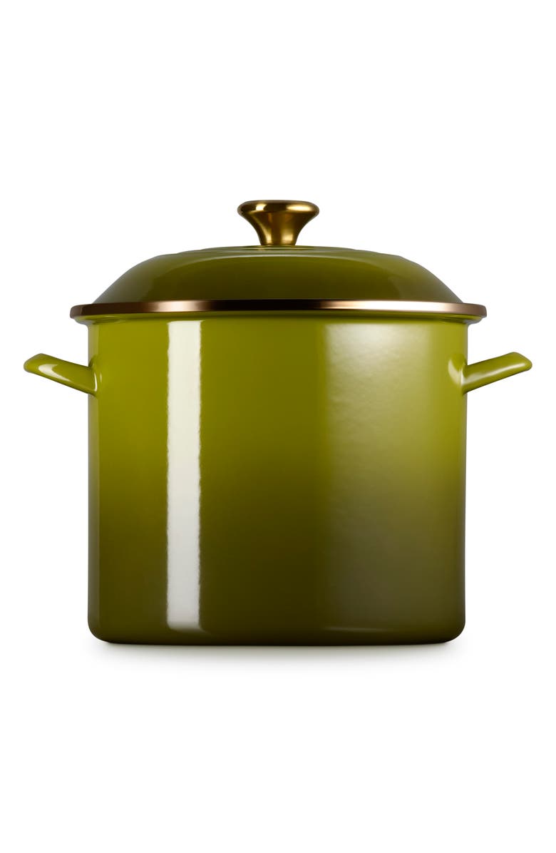 Le Creuset Enameled Stainless Steel Stockpot, Alternate, color, Olive