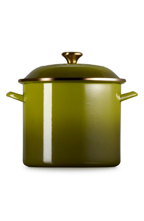 Le Creuset Enameled Stainless Steel Stockpot In Green