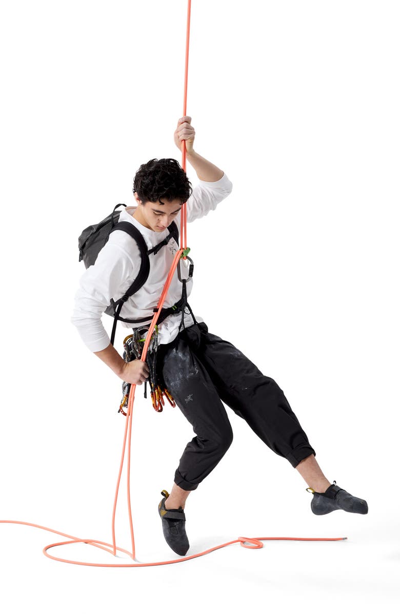 Arc'teryx Kragg Long Sleeve Cotton Graphic T-Shirt, Alternate, color, White Light/ Black