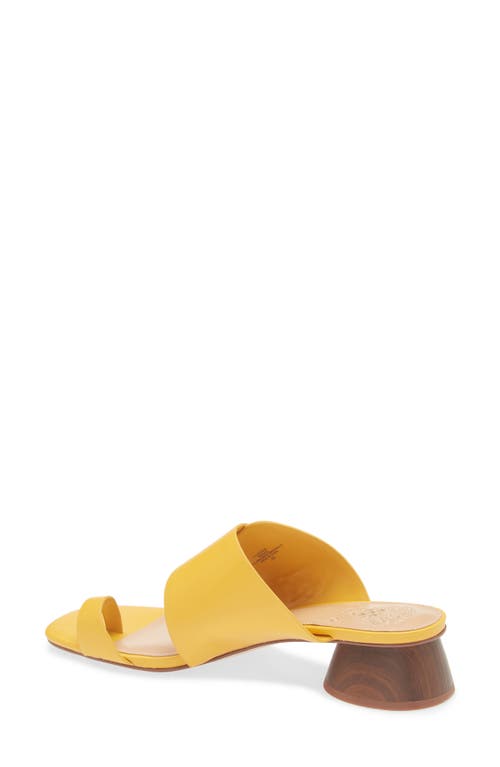 Vince Camuto Lenqua Toe Loop Block Heel Sandal In Yellow