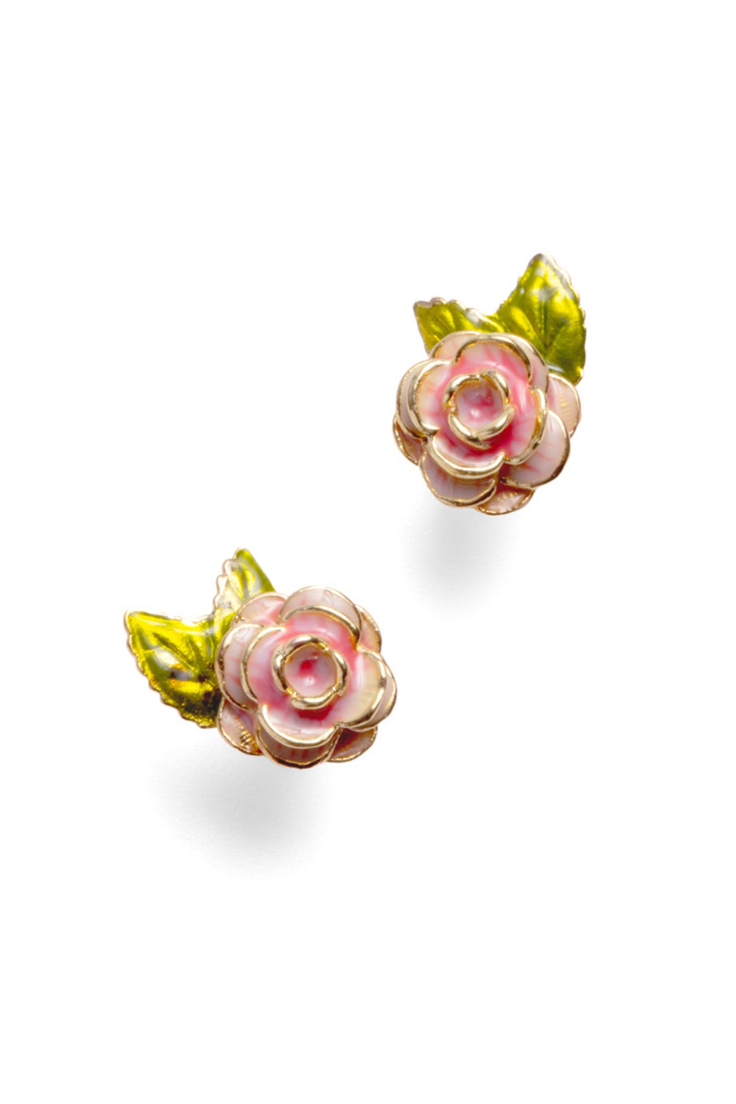 selected Rose