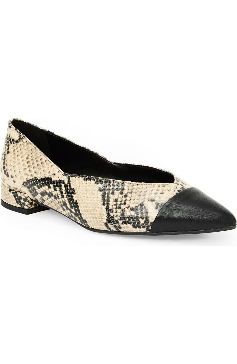 Bruno Magli Parma Pointed Toe Flat, Main, color, Ivory Snake/ Black