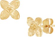 Frankie & Zoe 14K Gold Flower Stud Earrings