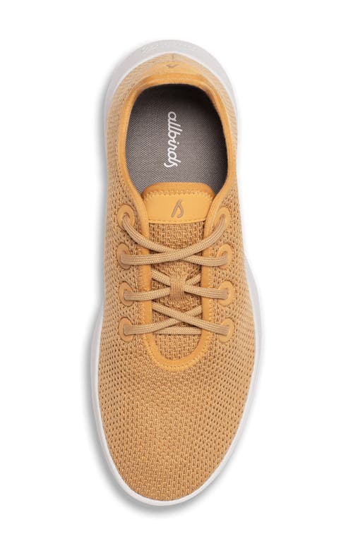 Allbirds Pacer Sneaker In Forage Tan/blizzard