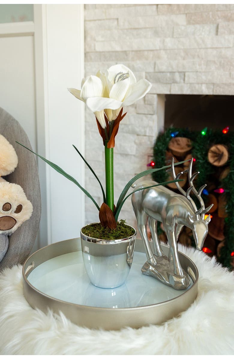 FLORA BUNDA Ivory 20" Tall Amaryllis in Silver Plated Pot, Alternate, color,