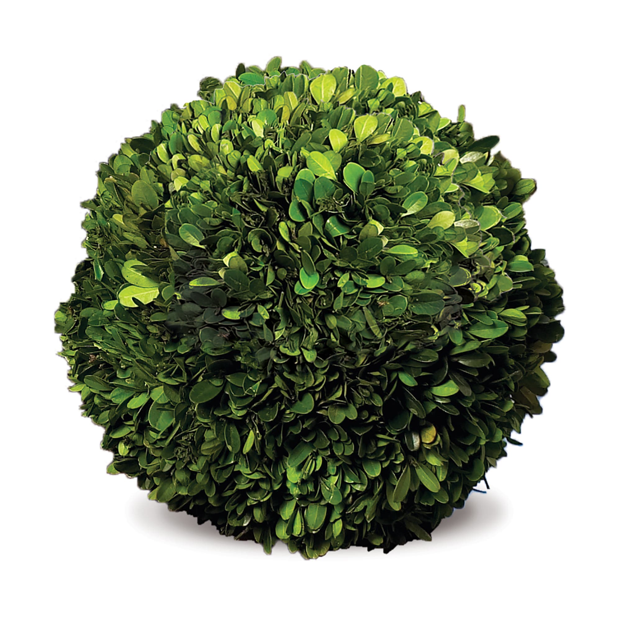 selected Green