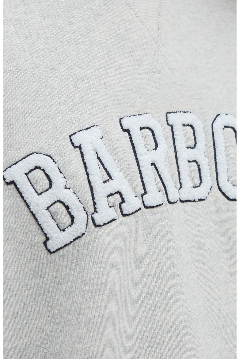 Silverdale Bouclé Logo Cotton Graphic Sweatshirt, Alternate, color, CLOUD MARL