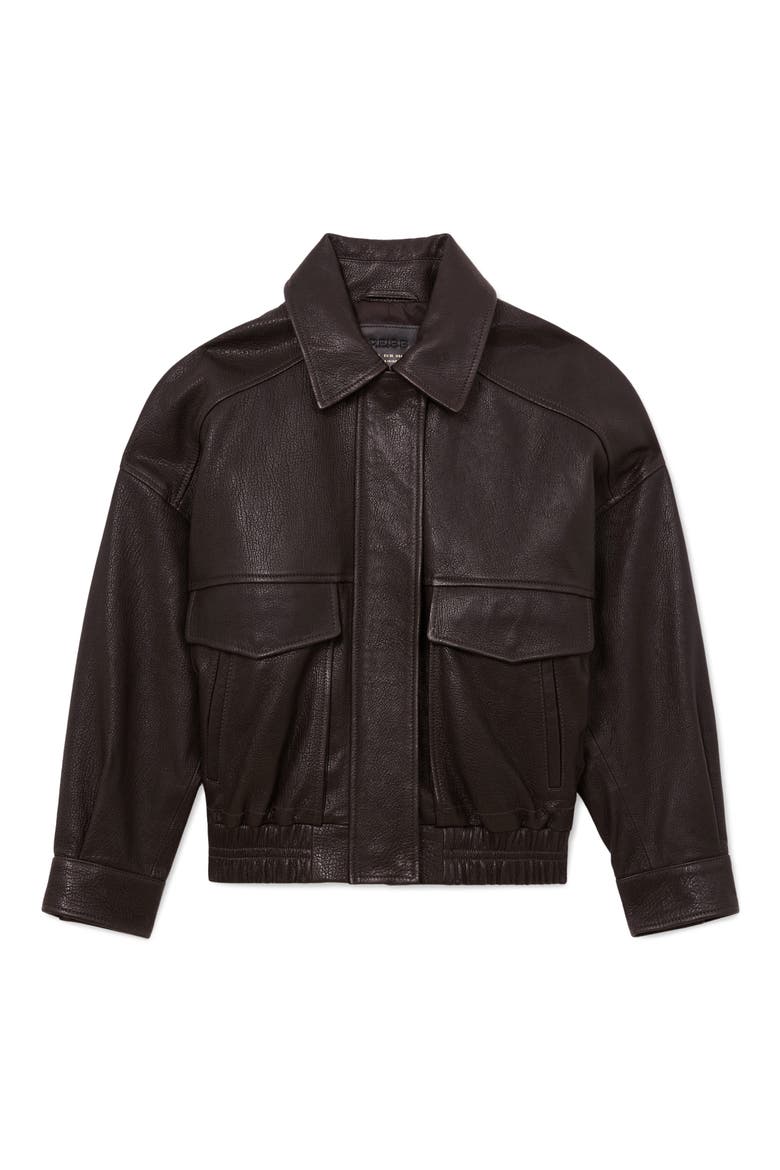 Petra Leather Jacket, Alternate, color, EBONY BROWN