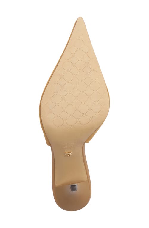 Arezzo Catherine Slingback Pointed Toe Pump In Brown