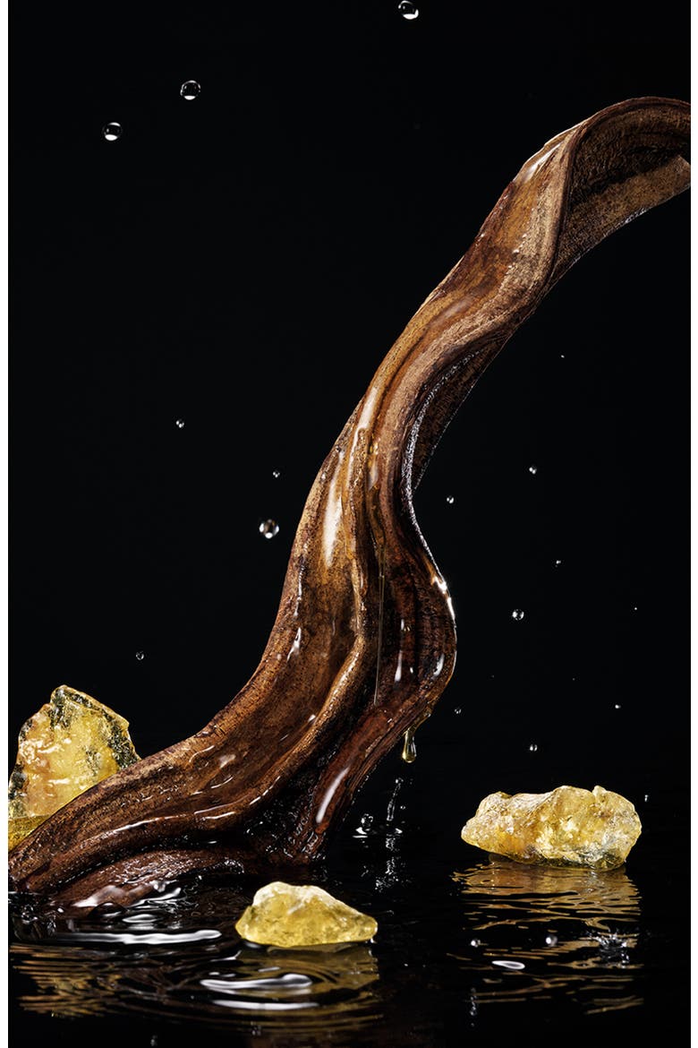 Velvet Honey Santal Eau de Parfum, Alternate, color, NO COLOR