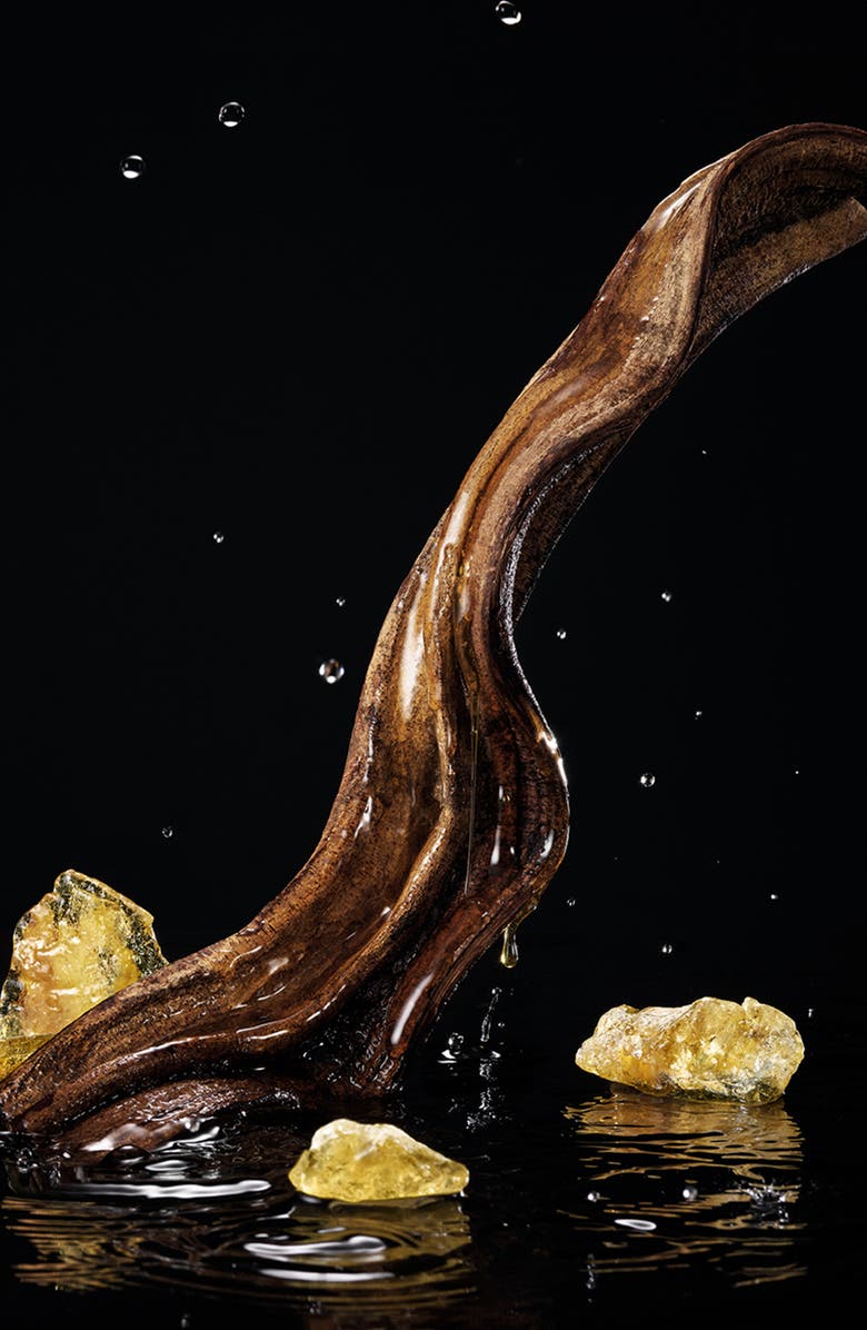 Dolce&Gabbana Velvet Honey Santal Eau de Parfum, Alternate, color, 