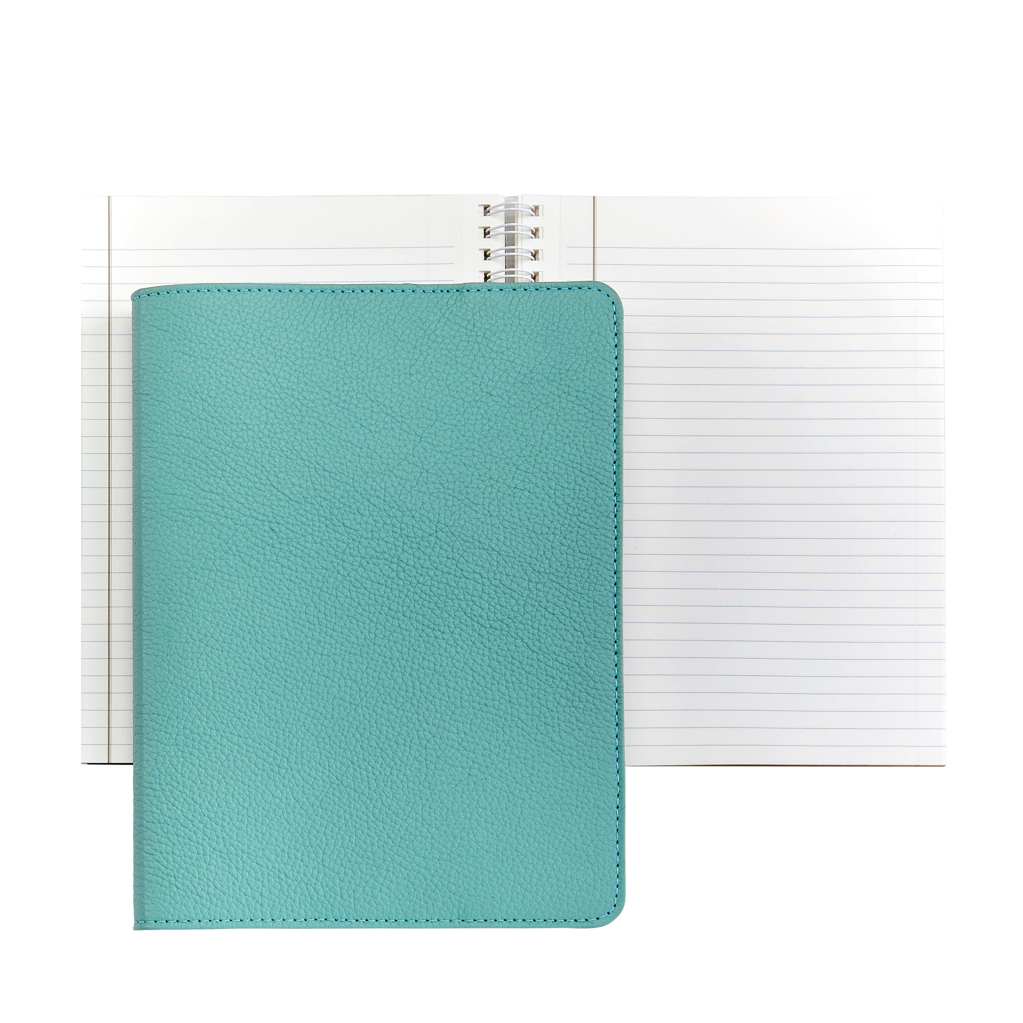 Robins egg blue