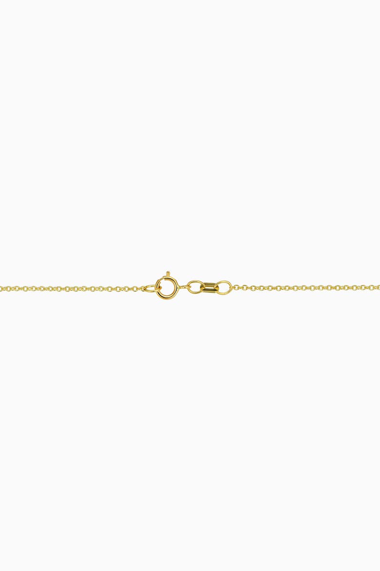 10K Gold Rimini Rolo Chain, Alternate, color, Yellow Gold