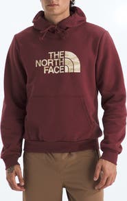 The North Face Evolution Edge of Light Half Dome Sweatshirt