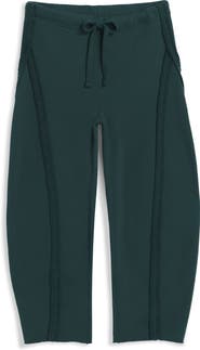 Frank & Eileen Bibi Barrel Leg Cotton Pants