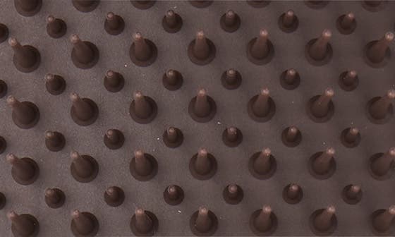 FINE AND FRAGILE COCOA