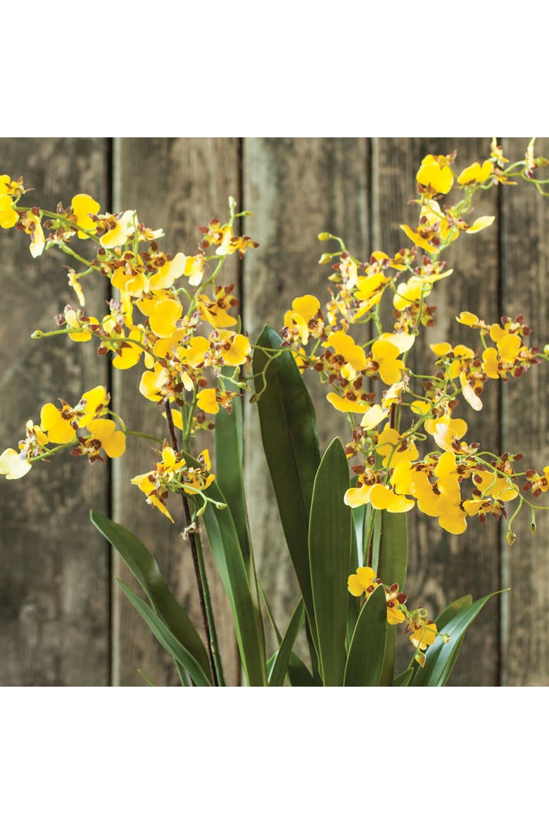 Dancing Orchid Faux (Fake) Drop-In 32", Alternate, color, Yellow